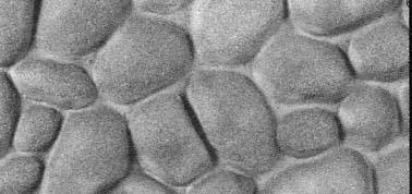 Vacuform Panel - Cobblestone